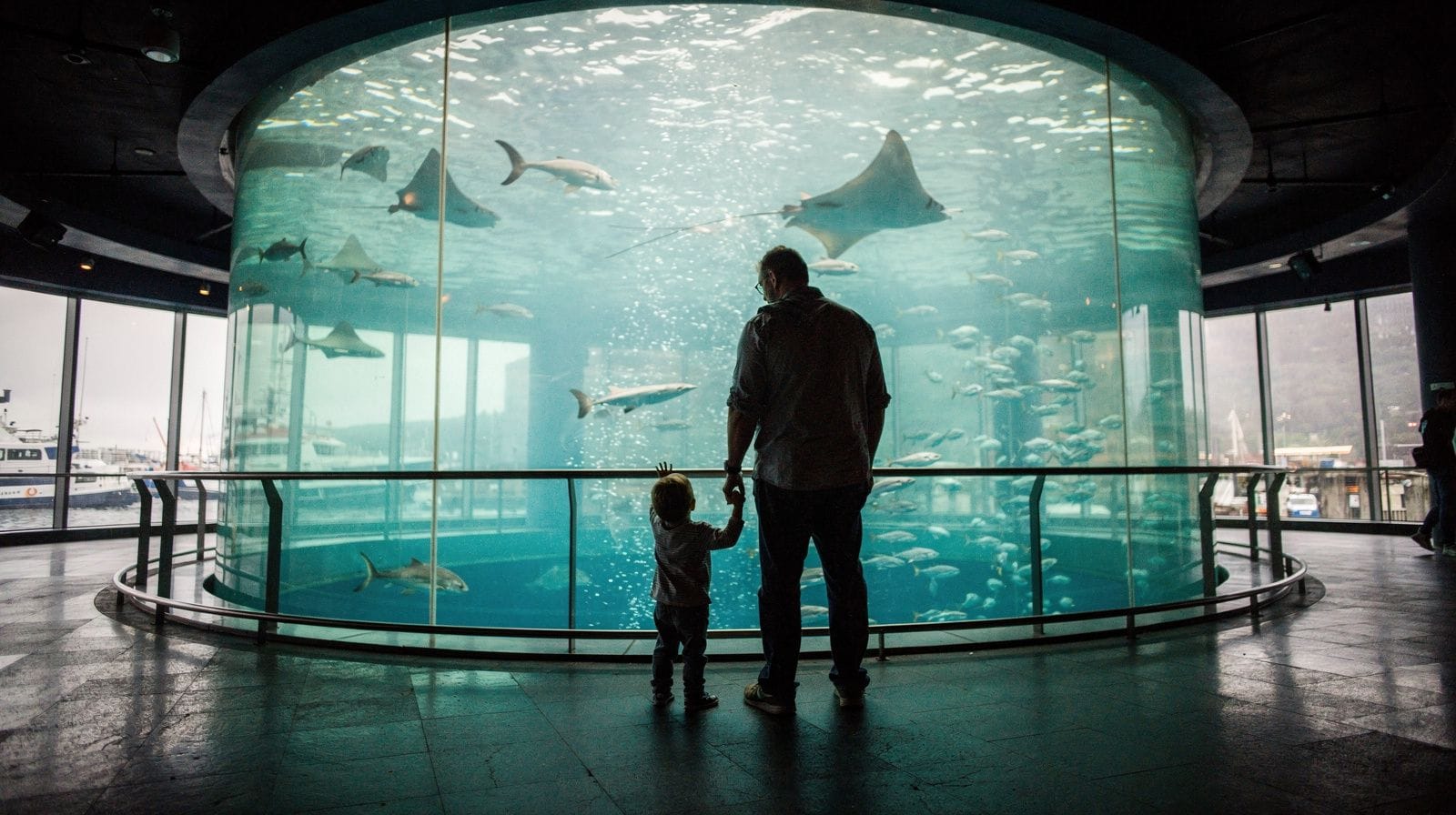 Les meilleurs musées et l'aquarium pour enfants à Boston