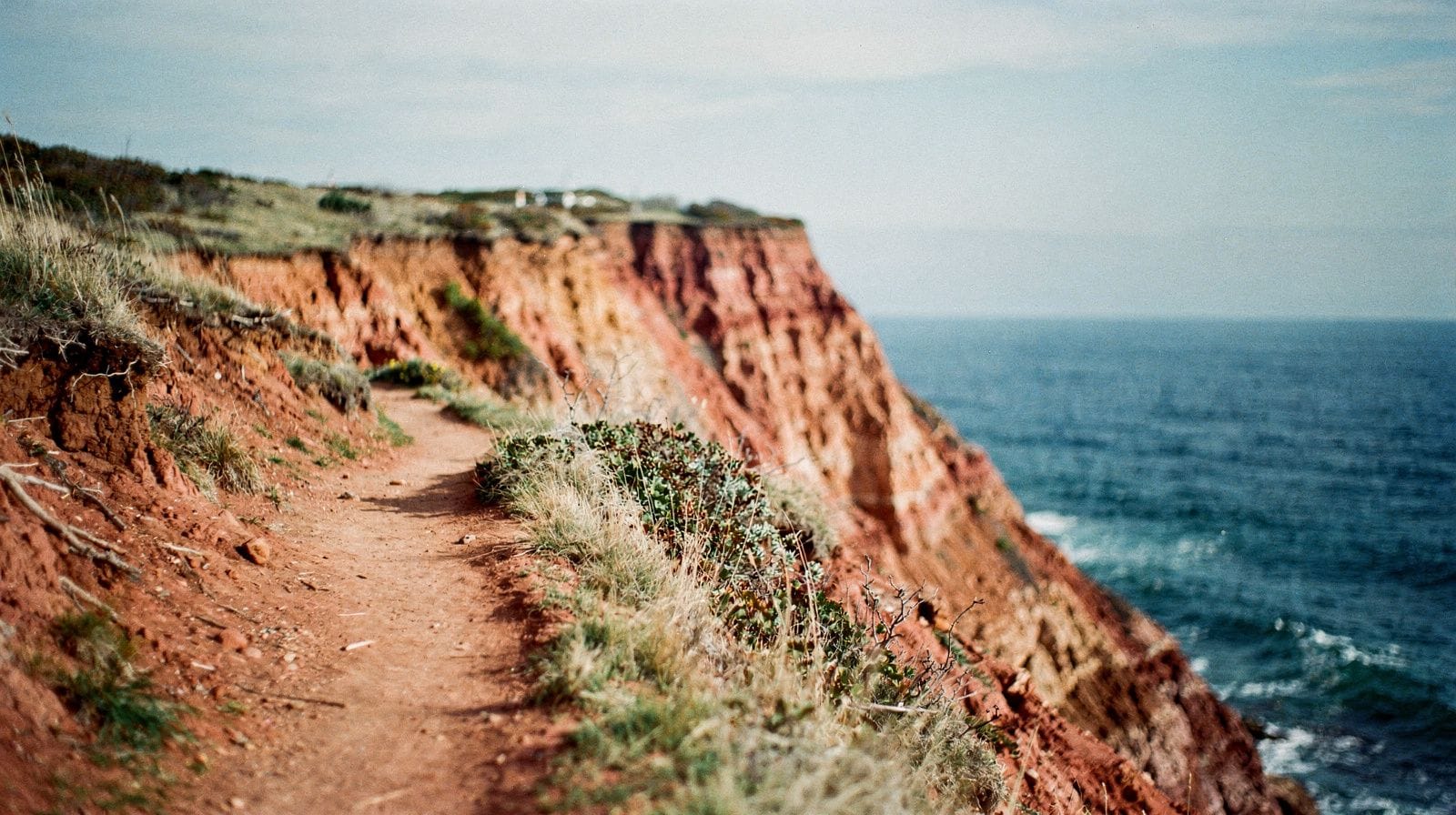 Martha's Vineyard in un giorno: un itinerario in traghetto, senza auto, da Boston